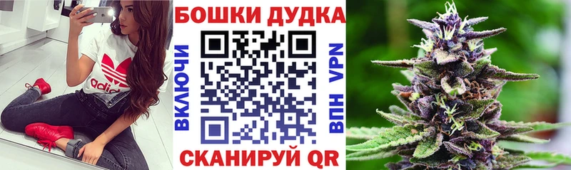 Какие есть наркотики Шатура A PVP  Гашиш  МАРИХУАНА  COCAIN 