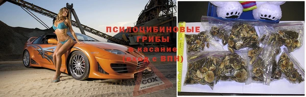 кокс Алзамай