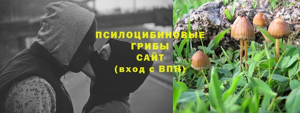 mdpv Алексин